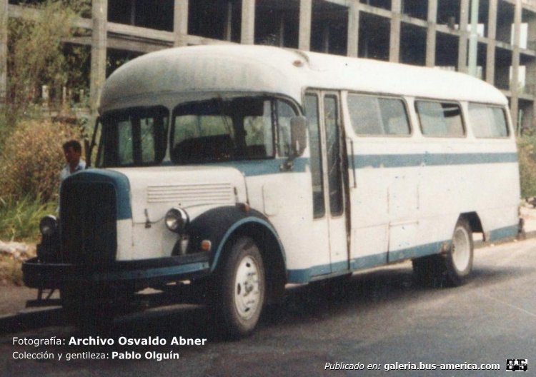 Mercedes-Benz L 312 - Gnecco América
Fotografía: Archivo Osvaldo Abner
Colección y gentileza: Pablo Olguín
