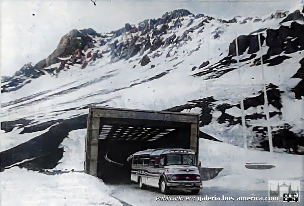 Mercedes-Benz LO 1114 - Colonnese - CATA
[url=https://bus-america.com/galeria/displayimage.php?pid=59243]https://bus-america.com/galeria/displayimage.php?pid=59243[/url]

Fotógrafo: ¿?
Foto extraída de: [url=https://mendozantigua.blogspot.com/2022/07/el-primer-omnibus-argentino-que.html]Mendoza Antigua[/url]

Se puede conocer la historia de esta carrocería en: [url=https://www.bus-america.com/ARcarrocerias/Colonnese/Colonnese-historia.htm]Revista Bus América - Historia de Carrocerías Colonnese[/url]
Palabras clave: Furlabus