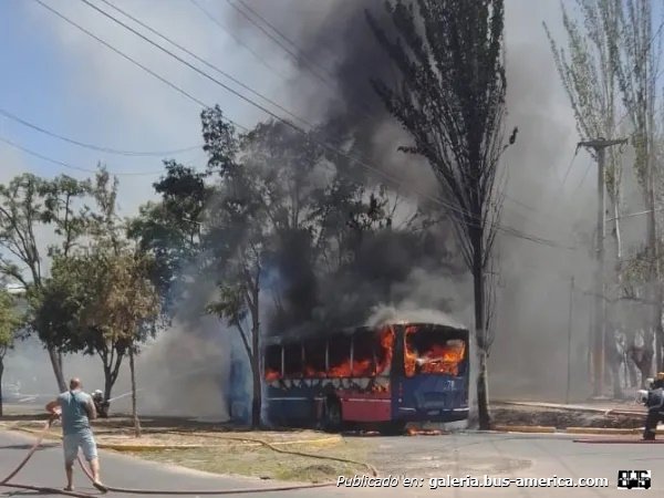 Foto Diario El Sol
Palabras clave: Furlabus