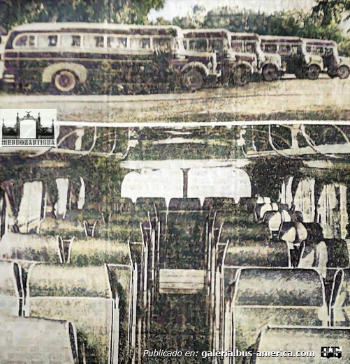 Mercedes-Benz L 312 - La Porteña - Coop. TAC
Foto: [url=https://mendozantigua.blogspot.com/2023/03/nuevas-unidades-para-el-transporte-de.html]Mendoza Antigua[/url]

"Nuevas Unidades para el Transporte de pasajeros. (Noviembre de 1960) Mendoza

La Cooperativa de Transportes de Cuyo adquirió veinte (20) nuevas unidades Mercedes Benz a una firma local. Los vehículos tenían29 asientos, calefacción y varios adelantos técnicos. El totalidad de las unidades fue afectado al servicio de circuito y de larga distancia, o sea, desde la ciudad de Mendoza a Los Molles, Potrerillos, Villa Dolores, Córdoba y Mercedes, San Luís. Además se reforzaron otras líneas de acuerdo con las necesidades del servicio. Por otra parte, la cooperativa realizó un plan para adquirir repuestos importados y otros elementos como seis motores Leyland 125 HP, que vinieron desde Inglaterra"
Palabras clave: Furlabus