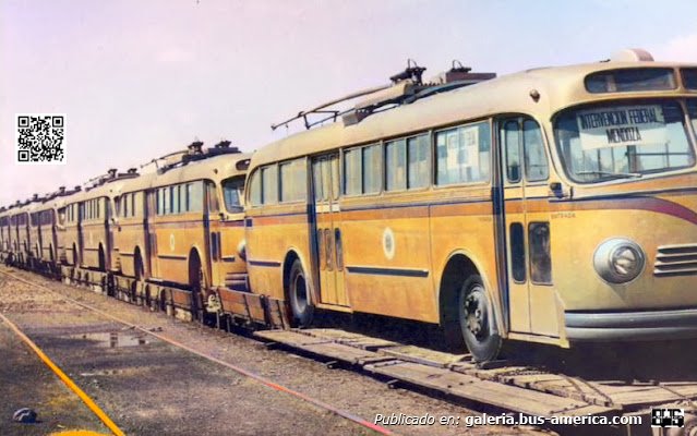Mercedes-Benz O 6600 T (en Argentina) - ex TBA , EPTM
Foto Diario Los Andes
Extraído de: Mendoza Antigua

Edición digital de los colores
Palabras clave: furlabus