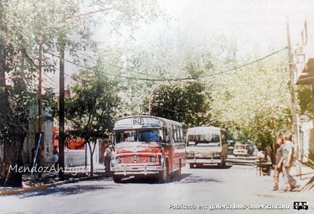 Mercedes-Benz LO 1114 - Crovara - El Plumerillo
Líneas 60 (Mendoza)

Iconos de los 90s
Dos modelos que fue común ver es estas empresas:1114 Crovara ,de 0km en la 60 y 1214 El Detalle usaditos en la 10.

Foto Mendoza Antigua.com.
Palabras clave: f u r l a b u s