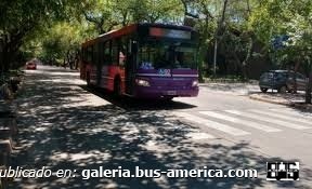 Grupos del Mendotran
Foto Ciudadano diario.
Palabras clave: f u r l a b u s