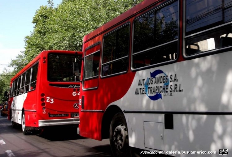 Foto Sitio Andino
Palabras clave: FURLABUS