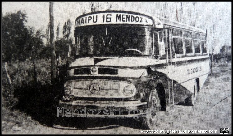 Mercedes-Benz LO 1114 - El Indio - El Cacique
B.1525272

Línea 16 (Mendoza), interno 22

Lindos bichos.
Uno de los varios coches iguales que la empresa incorporó con la concesión de 1979 ;
Foto Mendoza Antigua.com.
Palabras clave: f u r l a b u s