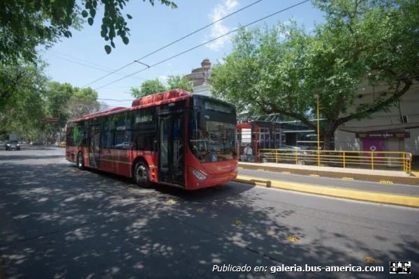 Zhong Tong LCK6122EVG5 (en Argentina) - Mendotran , STM
Línea 110 (Mendotran, Prov.Mendoza)

Foto Cuyonoticias
Palabras clave: FURLABUS