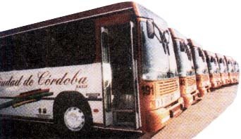 VIEJOS SCANIAS
BUSCO MAS FOTOS DE ESTOS COLECTIVOS PINTADOS ASI O COMO ERAN LOS DEMAS DE LA CIUDAD DE CORDOBA DEL AÑO 1995
