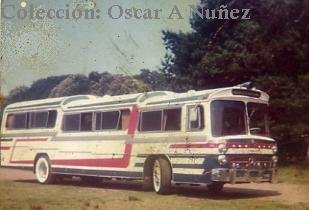 Mercedes-Benz O-317 - Incar - Particular
