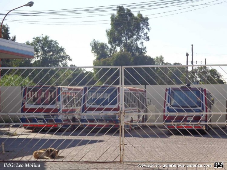 Mercedes-Benz OH 1521 L - Ei-Var - Micro Sur S.A
Cabecera de la Micro, servicio contratado de Bahía Blanca. 
Internos 5, 6, 11.
(Datos de derecha a izquierda)

Imagen: Leo Molina (leobahia24)

