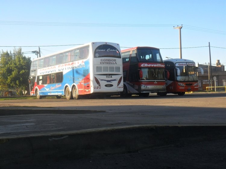 Mercedes-Benz O-500 RSD - Metalsur Starbus 405 - Cóndor Estrella
GOM 310

Cóndor Estrella, interno 1534

DESCANSANDO EN LA TERMINAL DE VENADO TUERTO STA.FE
(Datos de izquierda a derecha)
