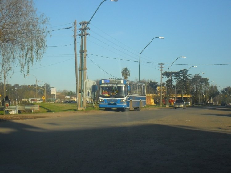 Mercedes-Benz OF 1418 - La Favorita - Ruta Bus
LÍNEA 350 - INTERNO 140
ESPERANDO PARA VOLVER A PILAR
