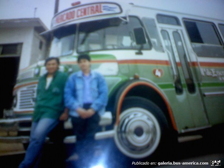 Mercedes-Benz LO 1114 - La Favorita - 1DEMVB
Interno 4
