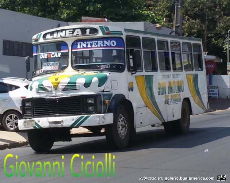 Mercedes-Benz L 1114 - Cebra II - San Antonio de Padua , Linea 1 , Interno 08
http://galeria.bus-america.com/displayimage.php?pid=1367

Es un Ex Linea 31 Virgen del Pilar
Esta es una nueva empresa Interna que empezo a trabajar desde el mes de abril de este año 2015 que recorre por las ciudades de San Antonio y Ñemby 

Ñemby Acceso Sur
