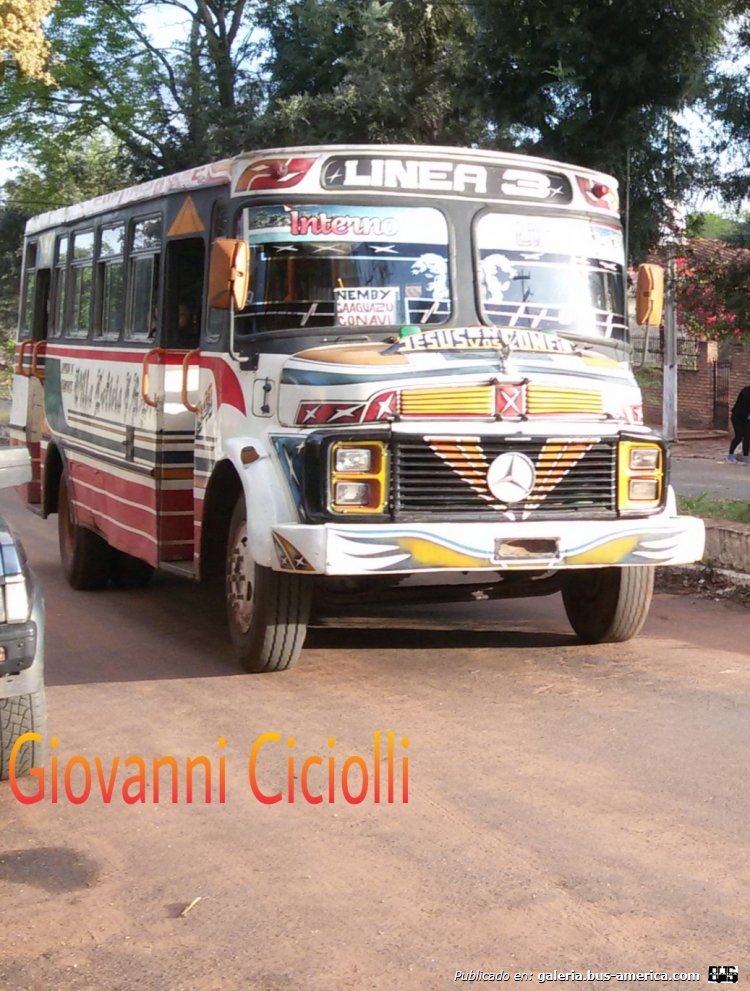 Mercedes-Benz L 1113 - Cebra I - Villa Leticia , Linea 3 , Interno 40
ANV 326
http://galeria.bus-america.com/displayimage.php?pid=37382

Este es una versión rara de CEBRA por que es carroceria cortita
