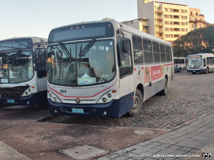 Mercedes-Benz OH 1518 - Marcopolo Torino G7 (en Uruguay) - CUTCSA 
STC-2852

CUTCSA (Montevideo), interno 899
