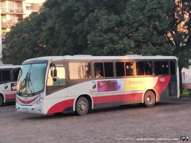 Mercedes-Benz OH 1420 - Marcopolo Ideale 770 (en Uruguay) - CUTCSA
STC-1125

CUTCSA (Montevideo), interno 1125
