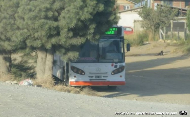 Mercedes-Benz OF - La Favorita - Las Grutas
Punta de línea, en los alrededores de Bariloche

Fotografía propia
Palabras clave: Mercedes-Benz