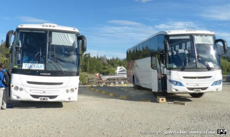 Saldivia x2
¿IUP 224? ¿FWR 525?

Fotografía propia
Palabras clave: Saldivia