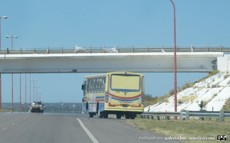 Mercedes-Benz OF 1418 - La Favorita - Ceferino
Interno 70 de la empresa Ceferino. Impecable presentación.

Fotografía: José Aparicio
Palabras clave: Mercedes-Benz