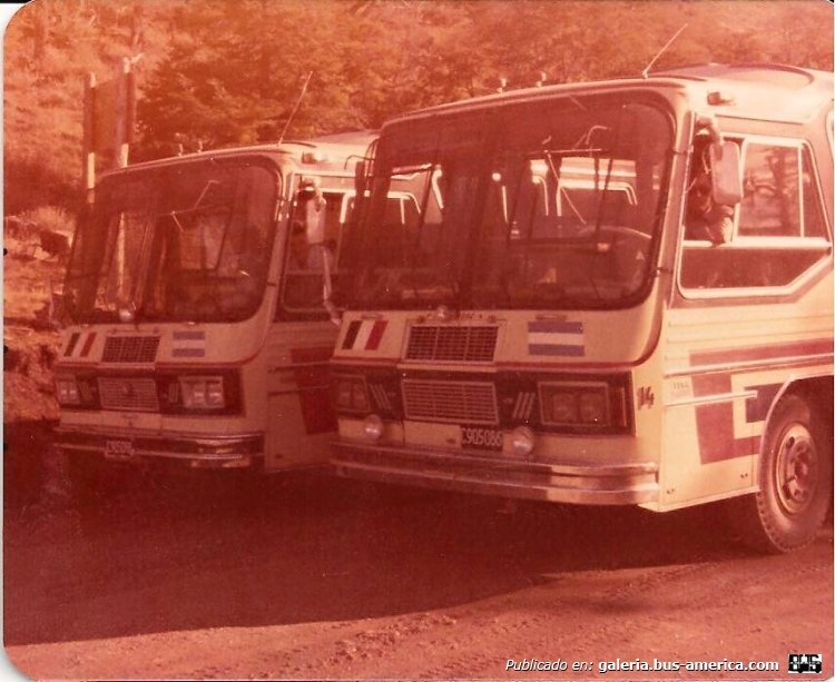 Mercedes-Benz LO 1114 frontalizado - La Carrocera
C.905086 [derecha]
