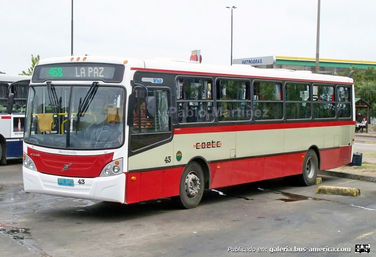 Volvo B7R - MASCARELLO GRAN VÍA (en Uruguay) - COETC
Con pocos días de salido a circular, vemos al interno 43 en la terminal de Portones, al Este de Montevideo. Patente STC-1692

Foto: Pablo Martínez
Palabras clave: MASCARELLO GRAN VÍA VOLVO URUGUAY MONTEVIDEO COETC