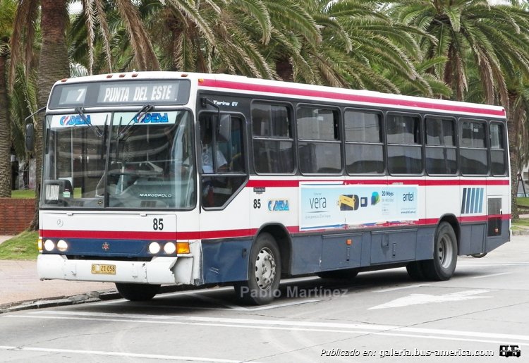 Mercedes-Benz OH 1318 - MARCOPOLO TORINO GV (en Uruguay) - CODESA
Circulando rumbo a la península de Punta del Este por línea 7, vemos al interno 85 de CODESA a la altura de la plaza Gral. Artigas. Patente B 21-058

Foto: Pablo Martínez
Palabras clave: MARCOPPOLO TORINO GV MERCEDES BENZ CODESA MALDONADO URUGUAY