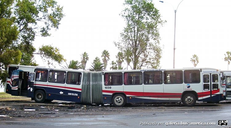 MARCOPOLO ALLEGRO ARTICULADO (en Uruguay) -CUTCSA-
Uno de los 2 articulados que operó Cutcsa por un corto período de tiempo, debido al alto consumo de combustible que tenían. Habian pertenecido a un operador turístico de Punta del Este y originalmente, se había pensado en ponerlos a circular en los recorridos suburbanos, cosa que el Ministerio de Transporte no llegó a autorizar. Vemos que no importaba que el lugar para estacionar en Plaza España fuese para vehículos tradicionales, igual se lo estacionaba.....Interno 1039

Foto: Pablo Martínez
Palabras clave: MARCOPOLO ALLEGRO ARTICULADO CUTCSA MONTEVIDEO URUGUAY