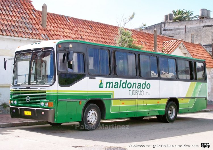 MARCOPOLO Allegro GIV (en Uruguay) - Maldonado Turismo-
Vemos al interno 23 de la empresa Maldonado Turismo detenido en la cabecera de línea de Punta del Este aguardando para retomar el recorrido. El anterior propietario de la unidad fue la empresa Cutcsa de Montevideo. Patente B 16-891.

Foto: Pablo Martínez
Palabras clave: MARCOPOLO ALLEGRO GIV MERCEDES BENZ MALDONADO URUGUAY