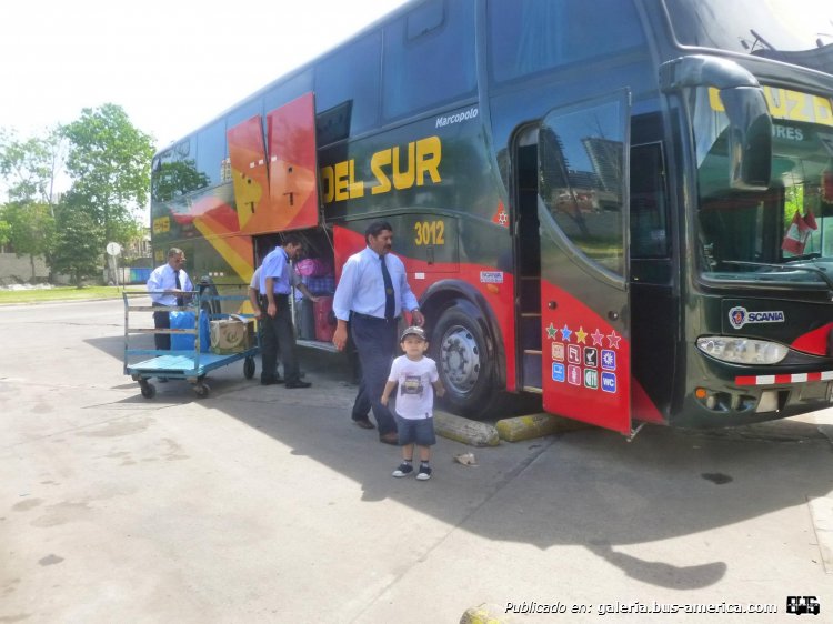 891941_10200323199336211_1328797878_o
Palabras clave: cruz del sur perú 