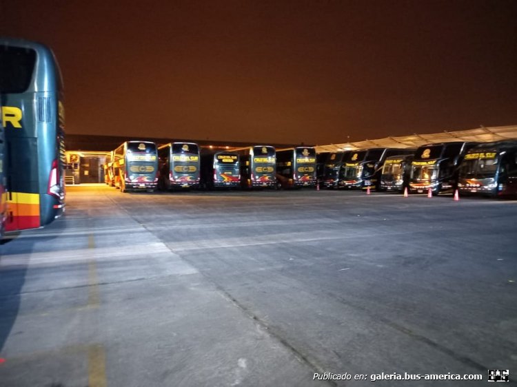 Marcopolo G7 Paradiso 1800 DD (en Perú) - Cruz del Sur
Fotógrafo: desconocido
Palabras clave: cruz del sur