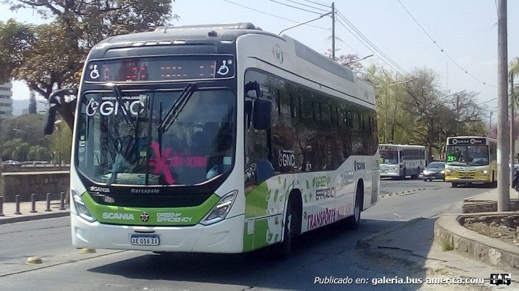 Scania K280 GNC - Marcopolo Torino Low Entry (en Argentina) - Transporte Xibi Xibi
AE 016 ZA

[url=https://bus-america.com/galeria/displayimage.php?pid=46777]https://bus-america.com/galeria/displayimage.php?pid=46777[/url]
[url=https://bus-america.com/galeria/displayimage.php?pid=52961]https://bus-america.com/galeria/displayimage.php?pid=52961[/url]
[url=https://bus-america.com/galeria/displayimage.php?pid=53088]https://bus-america.com/galeria/displayimage.php?pid=53088[/url]
[url=https://bus-america.com/galeria/displayimage.php?pid=53089]https://bus-america.com/galeria/displayimage.php?pid=53089[/url]
[url=https://bus-america.com/galeria/displayimage.php?pid=55862]https://bus-america.com/galeria/displayimage.php?pid=55863[/url]
[url=https://bus-america.com/galeria/displayimage.php?pid=62848]https://bus-america.com/galeria/displayimage.php?pid=62848[/url]
[url=https://bus-america.com/galeria/displayimage.php?pid=68831]https://bus-america.com/galeria/displayimage.php?pid=68831[/url]

Línea 21 (S.S. de Jujuy), interno 112
Ex línea 911 (Neuquén - Rio Negro)
Ex línea 132 (Buenos Aires), interno 110
