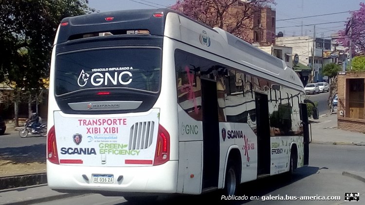 Scania K280 GNC - Marcopolo Torino Low Entry (en Argentina) - Transporte Xibi Xibi
AE 016 ZA
[url=https://bus-america.com/galeria/displayimage.php?pid=46777]https://bus-america.com/galeria/displayimage.php?pid=46777[/url]
[url=https://bus-america.com/galeria/displayimage.php?pid=52961]https://bus-america.com/galeria/displayimage.php?pid=52961[/url]
[url=https://bus-america.com/galeria/displayimage.php?pid=53088]https://bus-america.com/galeria/displayimage.php?pid=53088[/url]
[url=https://bus-america.com/galeria/displayimage.php?pid=53089]https://bus-america.com/galeria/displayimage.php?pid=53089[/url]
[url=https://bus-america.com/galeria/displayimage.php?pid=55862]https://bus-america.com/galeria/displayimage.php?pid=55862[/url]
[url=https://bus-america.com/galeria/displayimage.php?pid=62848]https://bus-america.com/galeria/displayimage.php?pid=62848[/url]
[url=https://bus-america.com/galeria/displayimage.php?pid=68831]https://bus-america.com/galeria/displayimage.php?pid=68831[/url]

Xibi Xibi, interno 112 (Parte de Atras)
Ex línea 911 (Neuquén - Rio Negro)
Ex línea 132 (Buenos Aires), interno 110
