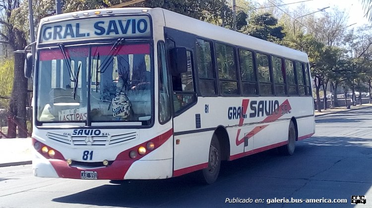 Mercedes-Benz OF 1722 - Metalpar Tronador 2010 - Gral. Savio
JUE 991

Línea 49B (Prov. de Jujuy), interno 81
