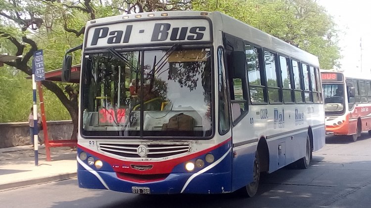Mercedes-Benz OF 1418 - Metalpar Tronador 2010 - Pal Bus 2000
OTD 384

Línea 20 (San Salvador de Jujuy), interno 93
