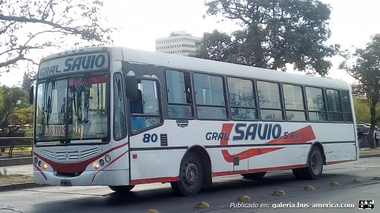 Mercedes-Benz OF 1722 - Metalpar Tronador 2010 - General Savio
JVJ 490

Línea 49B (Prov. de Jujuy), interno 80
