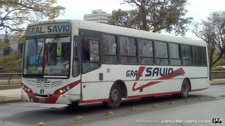 Mercedes-Benz OF 1722 - Metalpar Tronador 2010 - Gral. Savio
JUE 991

Línea 49 (Prov. de Jujuy), interno 81
