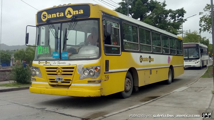 Mercedes-Benz OF 1418 - La Favorita - Santa Ana
MSU 223

Línea 12 (San Salvador de Jujuy), interno 239
