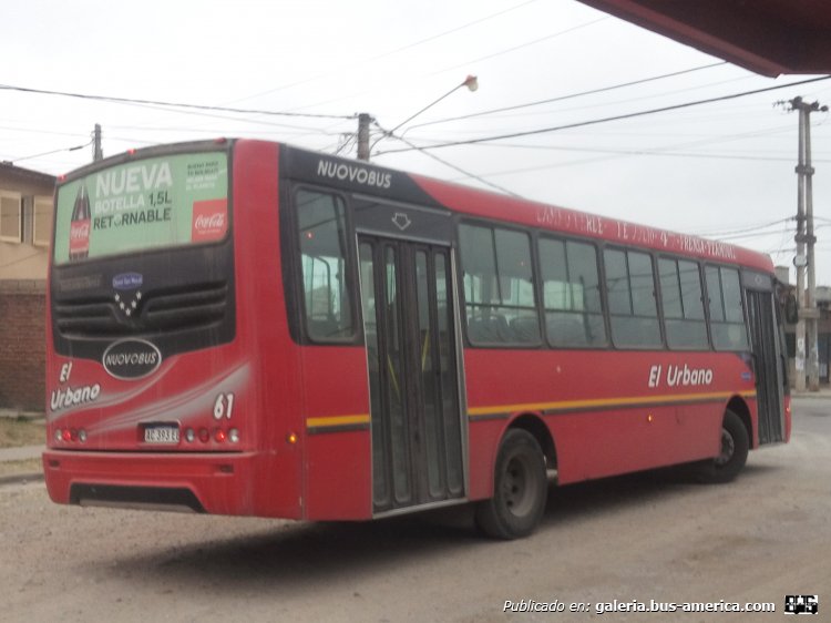 Mercedes-Benz OF 1621 - Nuovobus Menghi Euro - El Urbano
AC 393 EB
[url=https://bus-america.com/galeria/displayimage.php?pid=59791]https://bus-america.com/galeria/displayimage.php?pid=59791[/url]

El Urbano, interno 61 (Parte de Atras)
