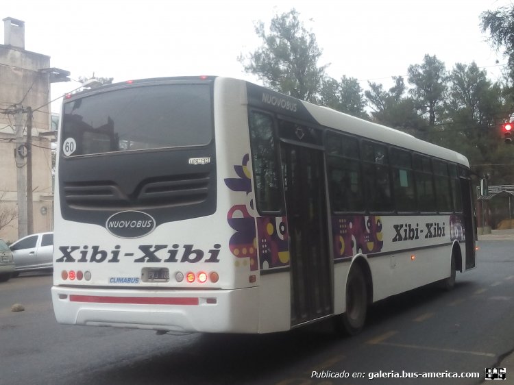 Iveco CC170E22 - Nuovobus Menghi Euro - Transporte Xibi Xibi
PKJ 746
[url=https://bus-america.com/galeria/displayimage.php?pid=59773]https://bus-america.com/galeria/displayimage.php?pid=59773[/url]

Xibi Xibi, interno 153 (Parte de Atras)
