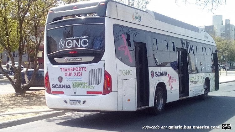 Scania K 280 GNC - Marcopolo Torino Low Entry (en Argentina) - Transporte Xibi-Xibi
AE 016 ZA
[url=https://bus-america.com/galeria/displayimage.php?pid=46777]https://bus-america.com/galeria/displayimage.php?pid=46777[/url]
[url=https://bus-america.com/galeria/displayimage.php?pid=52961]https://bus-america.com/galeria/displayimage.php?pid=52961[/url]
[url=https://bus-america.com/galeria/displayimage.php?pid=53088]https://bus-america.com/galeria/displayimage.php?pid=53088[/url]
[url=https://bus-america.com/galeria/displayimage.php?pid=55862]https://bus-america.com/galeria/displayimage.php?pid=55862[/url]
[url=https://bus-america.com/galeria/displayimage.php?pid=55862]https://bus-america.com/galeria/displayimage.php?pid=55863[/url]
[url=https://bus-america.com/galeria/displayimage.php?pid=62848]https://bus-america.com/galeria/displayimage.php?pid=62848[/url]
[url=https://bus-america.com/galeria/displayimage.php?pid=68831]https://bus-america.com/galeria/displayimage.php?pid=68831[/url]

Línea 21 (San Salvador de Jujuy), interno 112 (Parte de Atras)
Ex línea 911 (Neuquén - Rio Negro)
Ex línea 132 (Buenos Aires), interno 110
