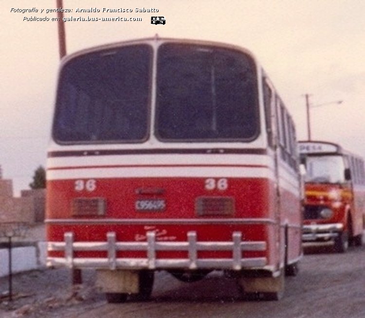 Ford B 7000 - Crovara - M.O. Gral. Pacheco
C.956495
[url=https://bus-america.com/galeria/displayimage.php?pid=54910]https://bus-america.com/galeria/displayimage.php?pid=54910[/url]
[url=https://bus-america.com/galeria/displayimage.php?pid=54912]https://bus-america.com/galeria/displayimage.php?pid=54912[/url]
[url=https://bus-america.com/galeria/displayimage.php?pid=54913]https://bus-america.com/galeria/displayimage.php?pid=54913[/url]
[url=https://bus-america.com/galeria/displayimage.php?pid=54914]https://bus-america.com/galeria/displayimage.php?pid=54914[/url]

Ex Línea 721 (Pdo. Tigre), interno 36 [1986-1987]
Ex línea 42 (Buenos Aires)

Fotografía: Arnaldo Sabatto
