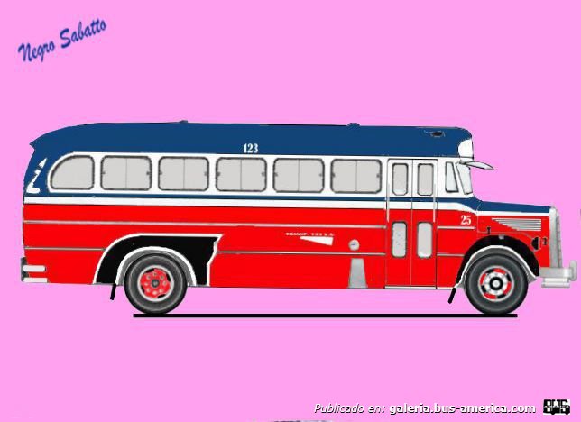 Mercedes-Benz L 312 - La Porteña - Tte. Línea 123
Línea 123 (Buenos Aires), interno 25
