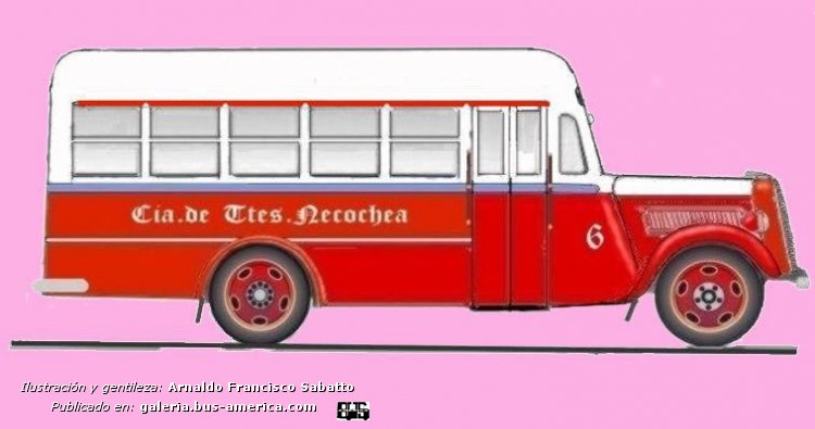 Ford V8 - Cía. De Ttes. Necochea
Línea 6 (Pdo. de Necochea), interno 6
Línea P20 (Prov. de Buenos Aires), interno 6
