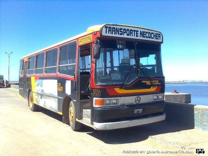 Transportes Necochea Interno 36
