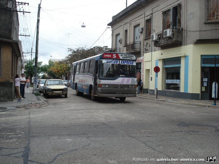 Palabras clave: Concordia Satsky 2008 EntreRios