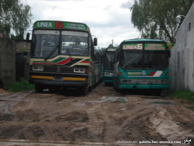 Palabras clave: Concordia Satsky 2008 EntreRios